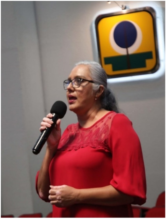 etapa_consultivo_05